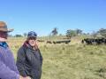 Father and son duo Milton and Ben Golby, Inglebyra, Jindabyne with a porton of their Brangus cows and calves. 