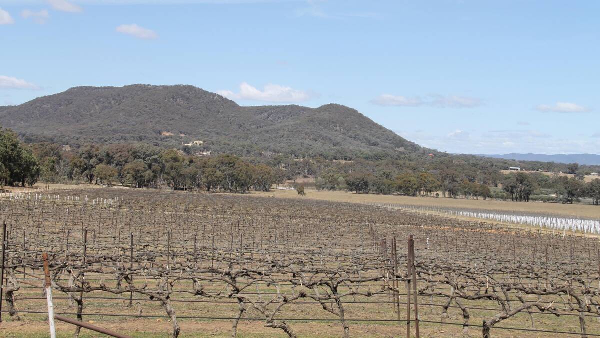 Nest in the hills … Looking out over the vineyard at Steins, it’s easy to see why Mudgee gained its Indigenous name.