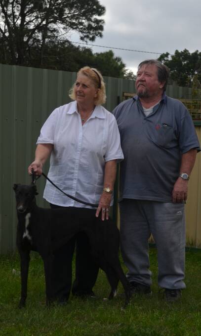 GUTTED: Eileen and Garry Robertson were first hit by the Williamtown RAAF base contamination, then the greyhound industry shutdown. Pictured with Paper Miss.