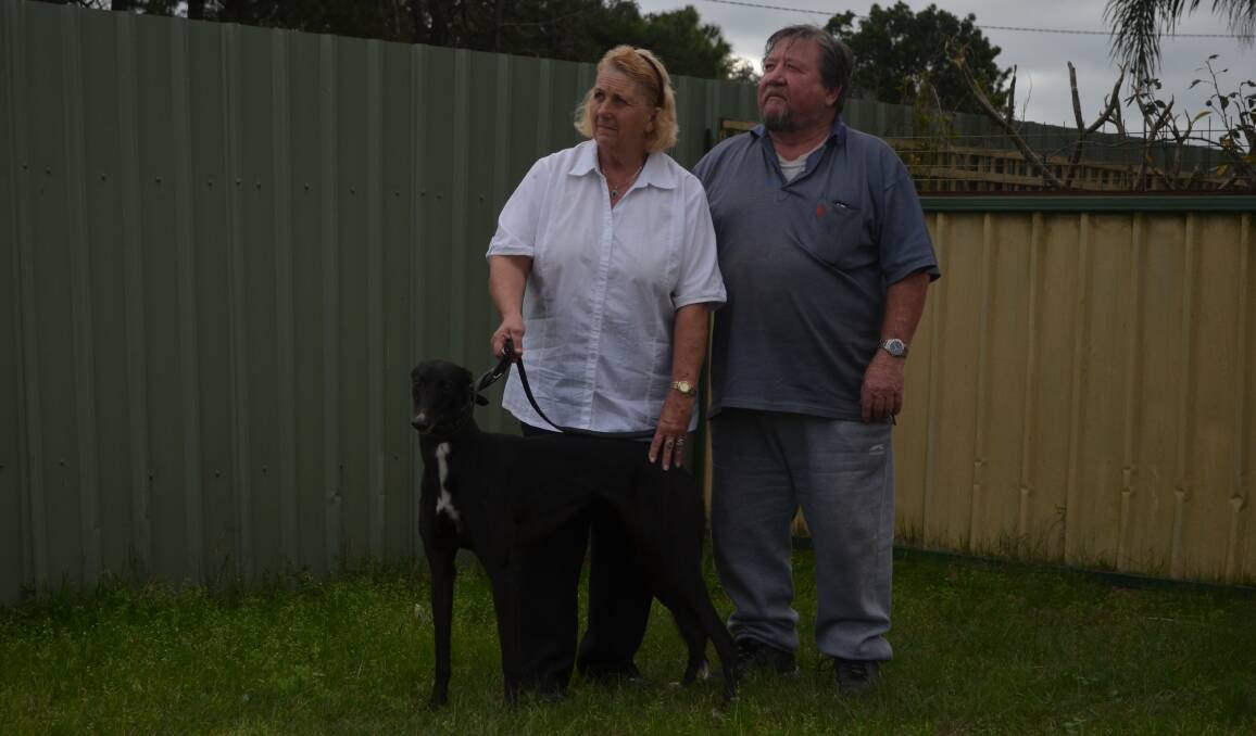 GUTTED: Eileen and Garry Robertson were first hit by the Williamtown RAAF base contamination, then the greyhound industry shutdown. Pictured with Paper Miss, who won last week's Masters at The Gardens. Picture: Sam Norris
