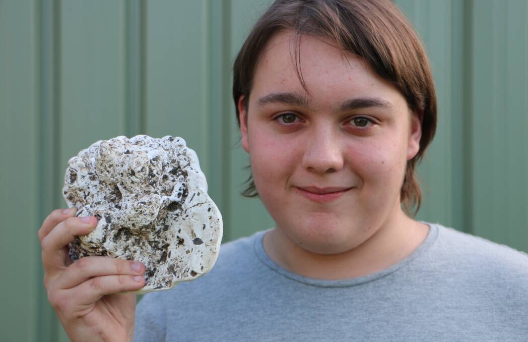 FELINE FIND: Jack Tessier, 16, with the plaster cast of the paw print he found in bushland at Wyee. Picture: David Stewart