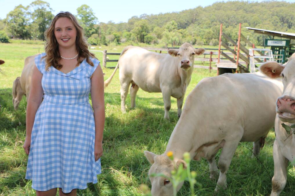 MULTI-TALENTED: Hannah Greenshields, 21, among the Charolais cattle on her Wyong Creek farm. The newly crowned Morisset Show Girl is also a gifted opera singer. Picture: David Stewart