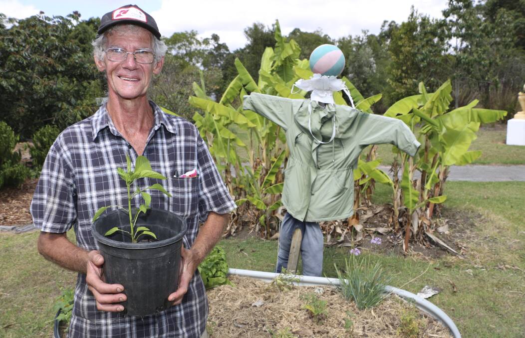 TOWN HUB: Joey Horvath, of Bonnells Bay, at work in the Yunung community bush tucker garden at Morisset Multi-Purpose Centre. Picture: Jamieson Murphy 