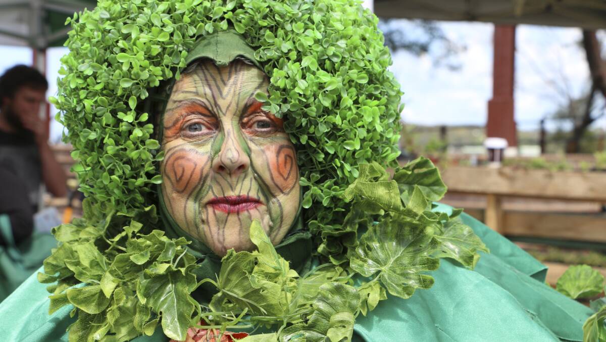 TREE-MENDOUS: Performance artist 'Twiggy' pictured at the Living Smart Festival. Council is also looking for artistic installations at this year's festival, on Saturday, September 23. Picture by David Stewart