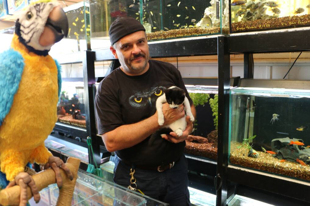 PET SHOP: Shane Strong and a feline friend at his Gates of Eden Nature Centre, in Morisset. Picture: David Stewart