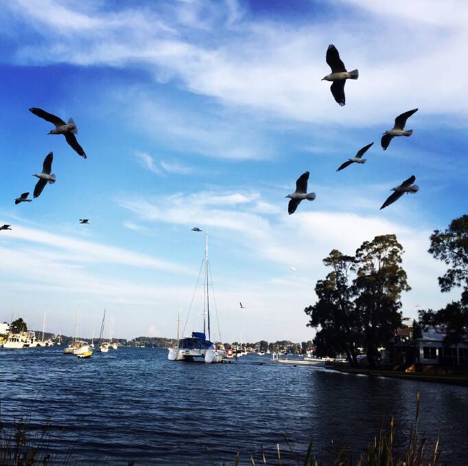 ON THE SPOT: An example of a recent picture the Lakes Mail shared on Instagram. Another day, another bay, in paradise. Balmoral, Lake Macquarie. Picture: David Stewart
