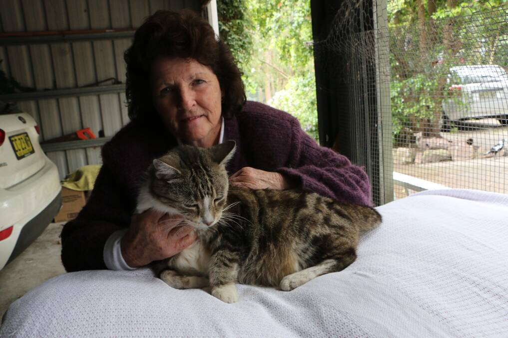 KITTY CARE: Joanne Hawken at her Mirrabooka home. Picture: David Stewart
