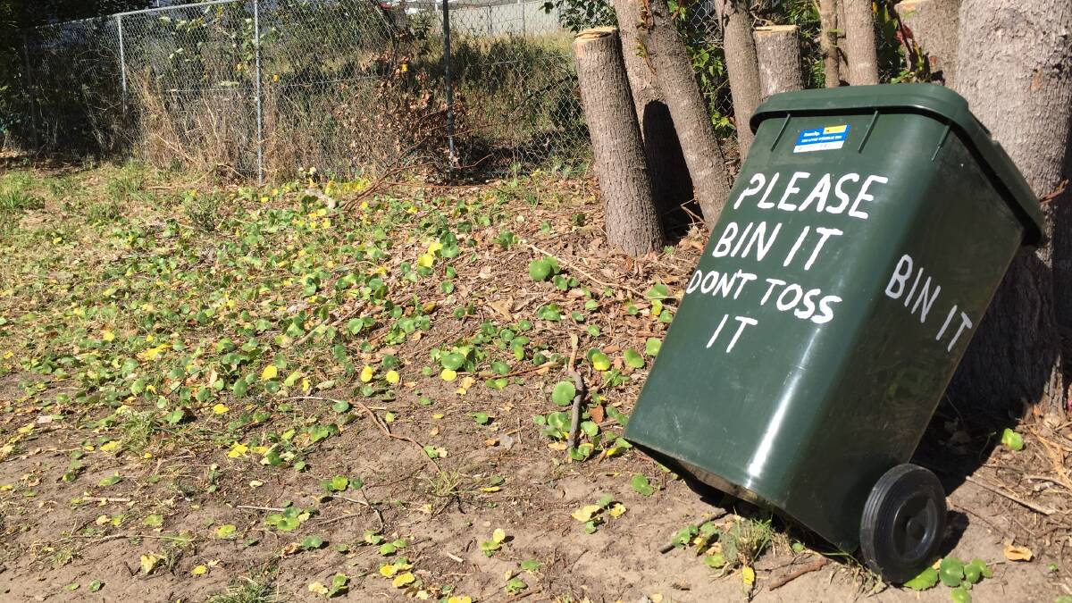 VIGILANTE BIN: The bin placed by Beverley Timms on council land in Yambo Street that was mowed and tidied by 'vigilante mower' Mick Cronan. Picture: David Stewart