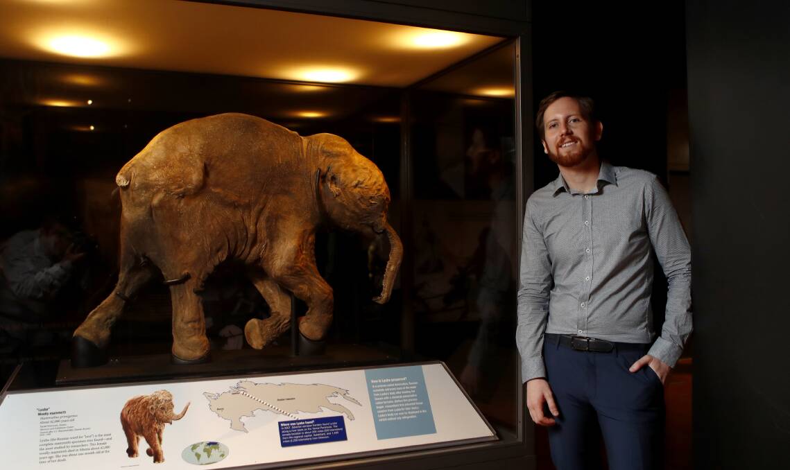 OLD AND NEW: Palaeontologist Dr Matt McCurry in front of the body of Lyuba, a baby mammoth, on display for the first time in this country at the Australian Museum.   