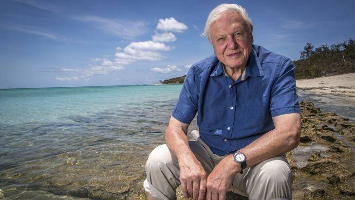 Sir David Attenborough is particularly concerned about the Great Barrier Reef. Photo: Atlantic Productions