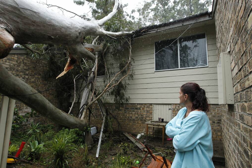 FELLED: Tammy Watts checks out the damage to her Bolton Point rhouse caused by a fallen tree. Picture: Max Mason-Hubers