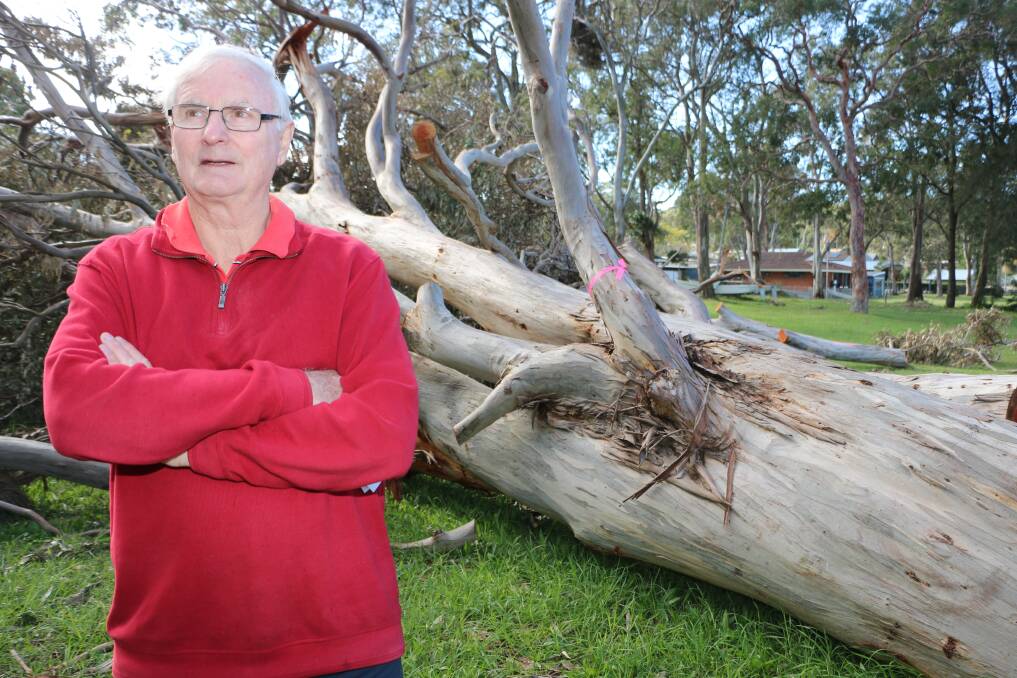 LOOMING LARGE: The writer says Mirrabooka residents such as Arnold Andrews, pictured, are not alone in their concerns about the risks of worrying trees. Picture: Jamieson Murphy
