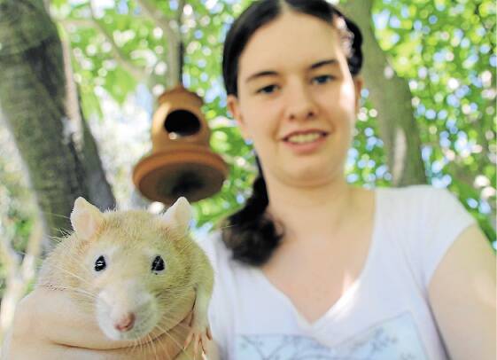 TOO CUTE: Wangi resident Rosie Lipscomb and her pet rat Buffy took out first place in the smallest animal category at the Morisset and Lake Macquarie Agricultural Show's annual pet show. Buffy also came second in the most unique pet category. Picture: Jamieson Murphy