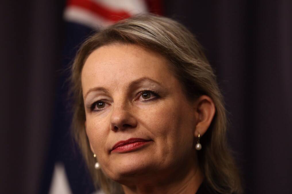 SCARE TACTIC: Health Minister Sussan Ley.
