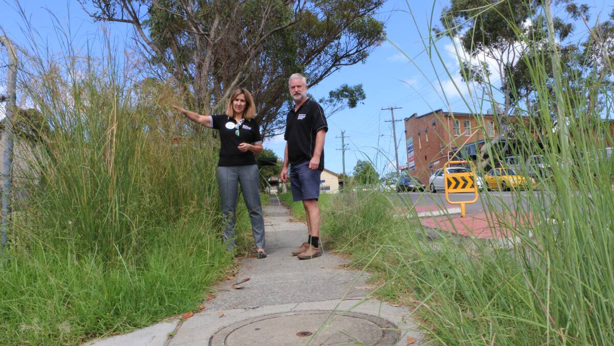 EASY FIX: The writer says there is a simply solution to the grass problem in Morisset CBD.  Picture: David Stewart