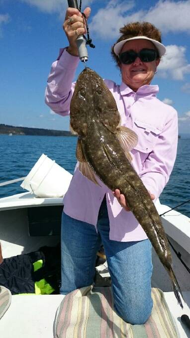 GOTCHA: Donna Mulder with a big flathead that she caught and released in Lake Macquarie recently.