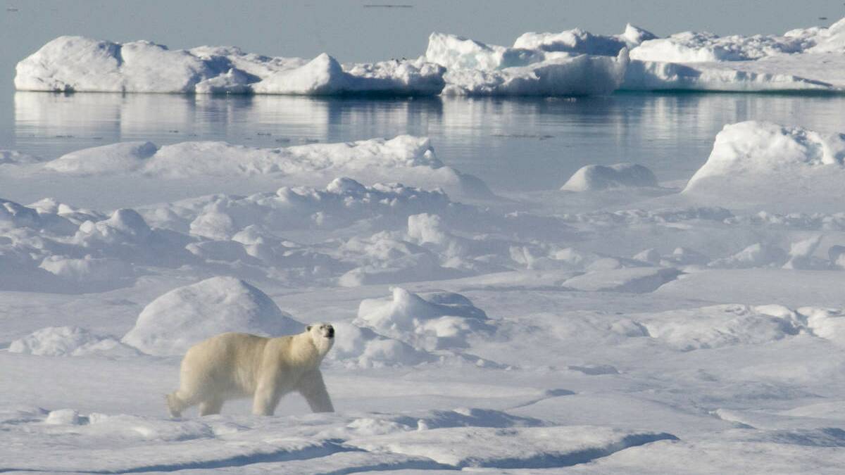 TOO COOL: The writer says global warming is not happening. Picture: Jonathan Hayward