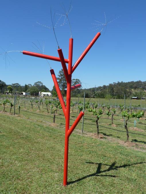 ARTISTIC: Just one of Stef Schelbert sculptures that will be on show at the exhibition.