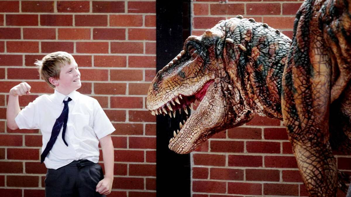 ISSUES: The letter referred to by the writer said scripture teachers are effectively teaching children to reject scientific findings about dinosaurs. Picture: Darren Pateman.