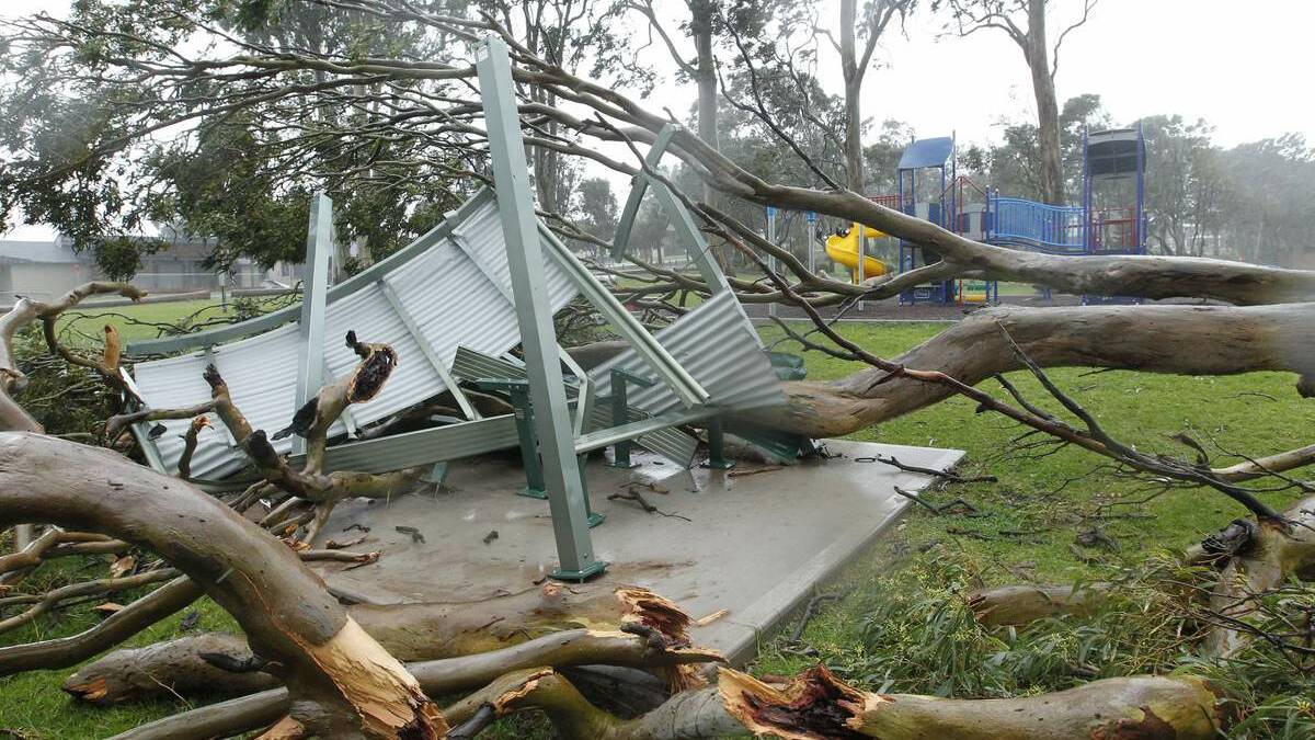 DAMAGE: A shelter smashed by a fallen tree at Wangi. Picture: Max Mason Hubers