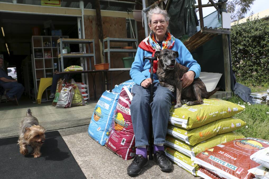 RESILIENT: Sonja Dyke-Clark and Brindabella reunited this week at her hardware store. Picture: David Stewart
