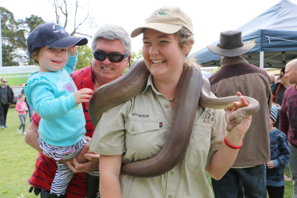 Images from the 2015 Living Smart Festival, at Speers Point Park, Saturday, September 26, 2015. Pictures by DAVID STEWART