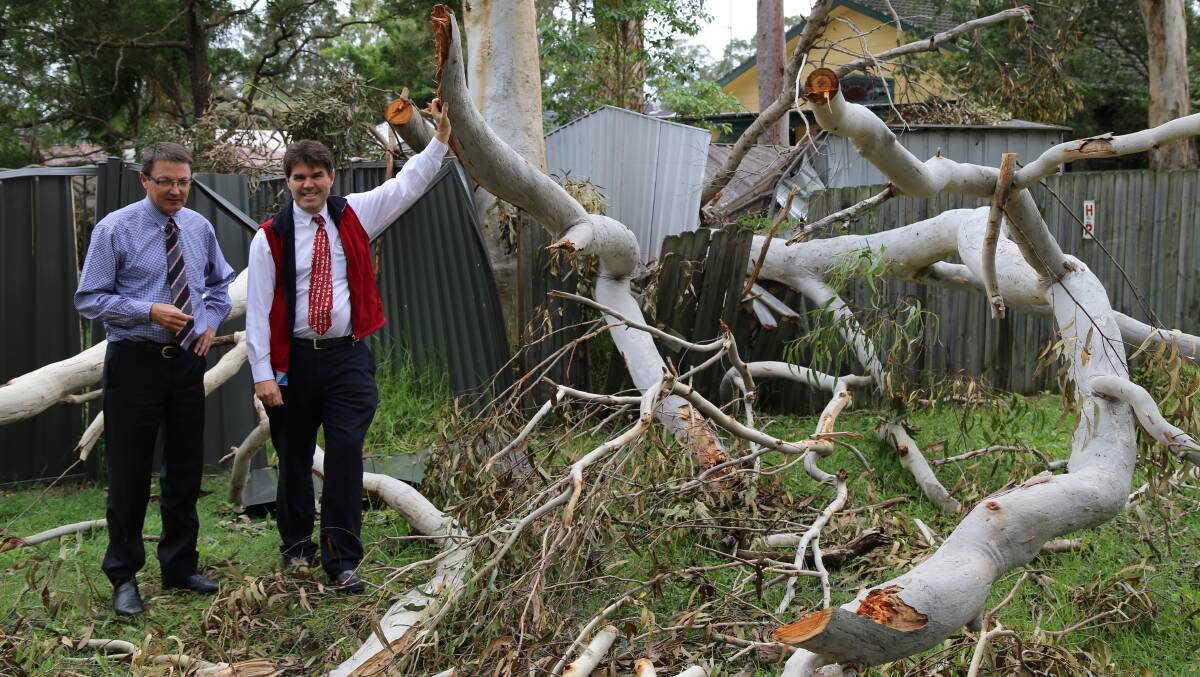 STORM DAMAGE: NSW Parliamentary Secretary for the Central Coast, Scot MacDonald, left, with Wyong Shire mayor Doug Eaton inspecting a fallen tree at Charmhaven.