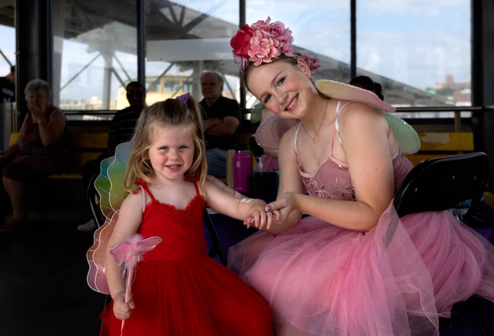 Fairies on the Ferry at Stockton, pictures by Jonathon Carroll