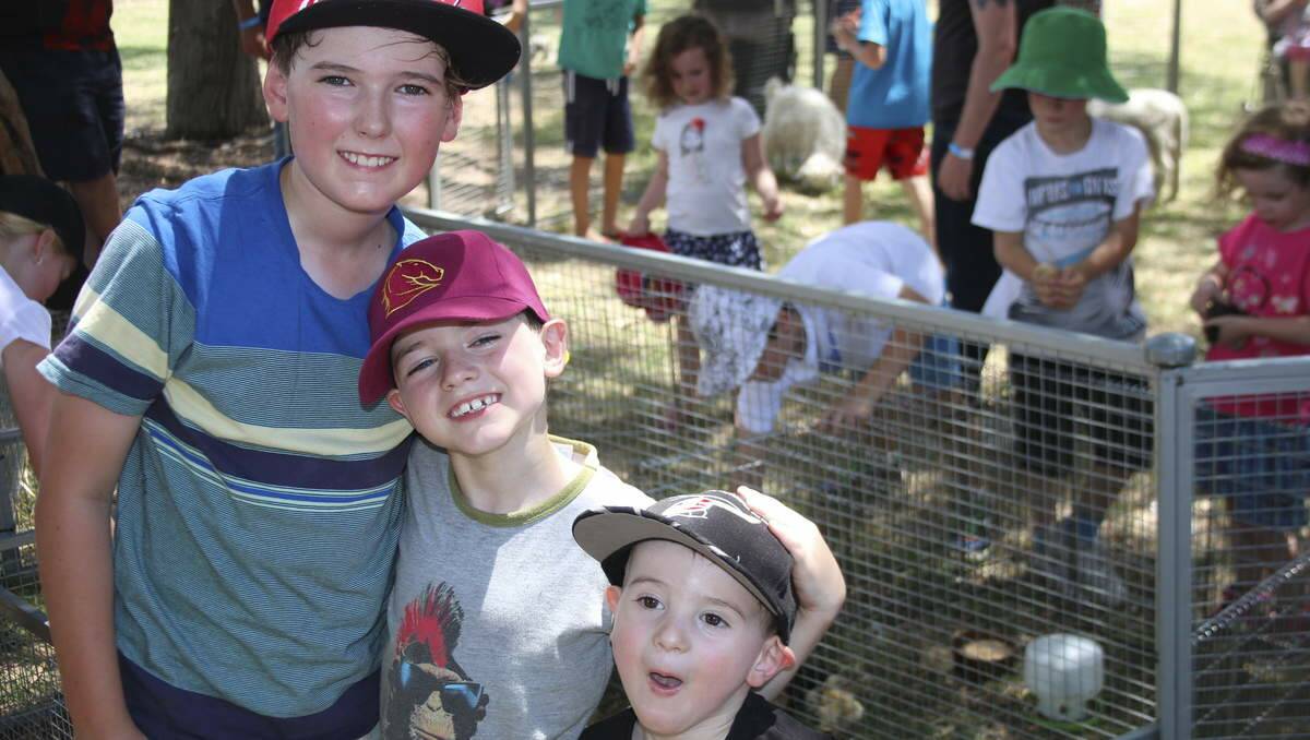 FAMILY DAY: Brothers Xavier, Logan and Connor Liston, of Morisset, at the animal petting zoo. Picture: Jamieson Murphy