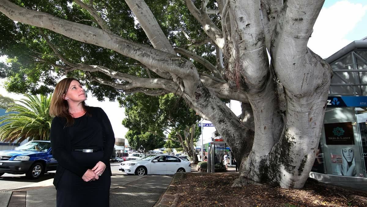 IMPEDIMENT: Tracey Bell at one of the Toronto fig trees which council said was a major constraint on its master plan for the town. Picture: Phillip Hearne