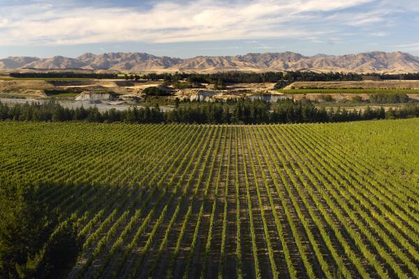 Food, wine and nature ... this New Zealand road trip ticks all the boxes