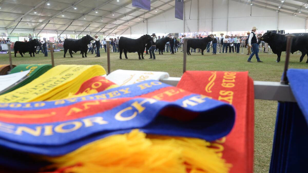 Sydney Royal Easter Show cancelled