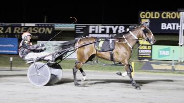 Robbie Morris driving Sensationalize to victory in her Gold Tiara heat. Picture Bathurst Harness Racing Club