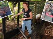 Christine Everingham in Sandhills Community Garden and inset, some of the damage from the fire. Picture by Peter Lorimer