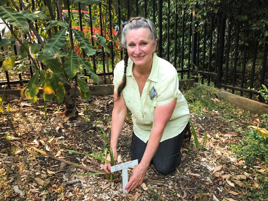 ENVIRONMENTAL EXCELLENCE: Suzanne Pritchard received the highest accolade available to recognise the work of Landcare volunteers.