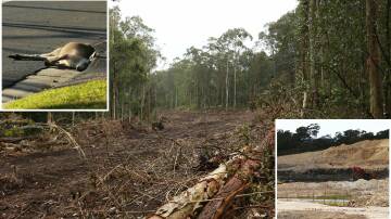 Main image and bottom left: Land clearing undertaken as part of the Minmi Estate. Top right image: a kangaroo found on Newcastle Road, near the Inner City Bypass construction site. Pictures by Peter Lorimer and Lisa Allan. 