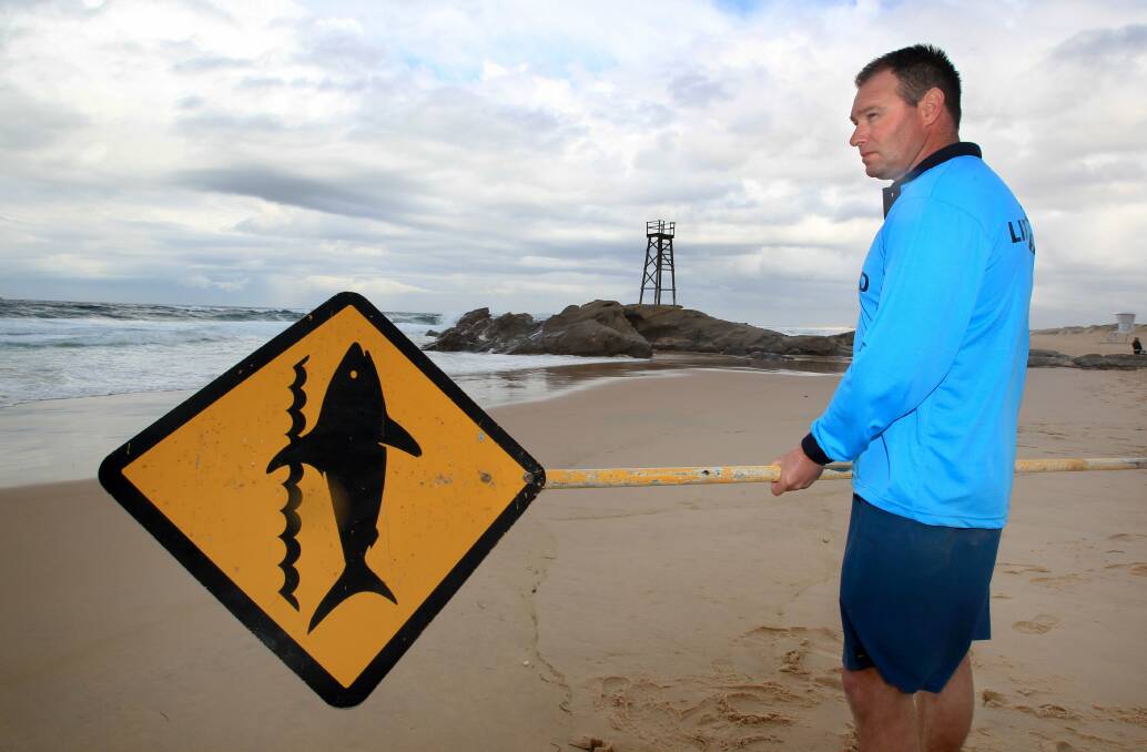 BE AWARE: Council's beach lifeguard Paul Stone said the presence of whale remains in the area had the potential to heighten shark activity. Picture: Phillip Hearne