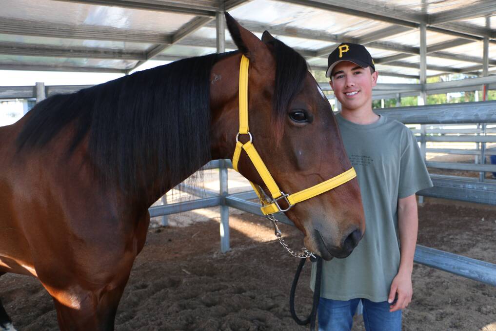 YOUNGEST EVER: Jack Callaghan working at his father's Morisset stables this week. Picture: David Stewart