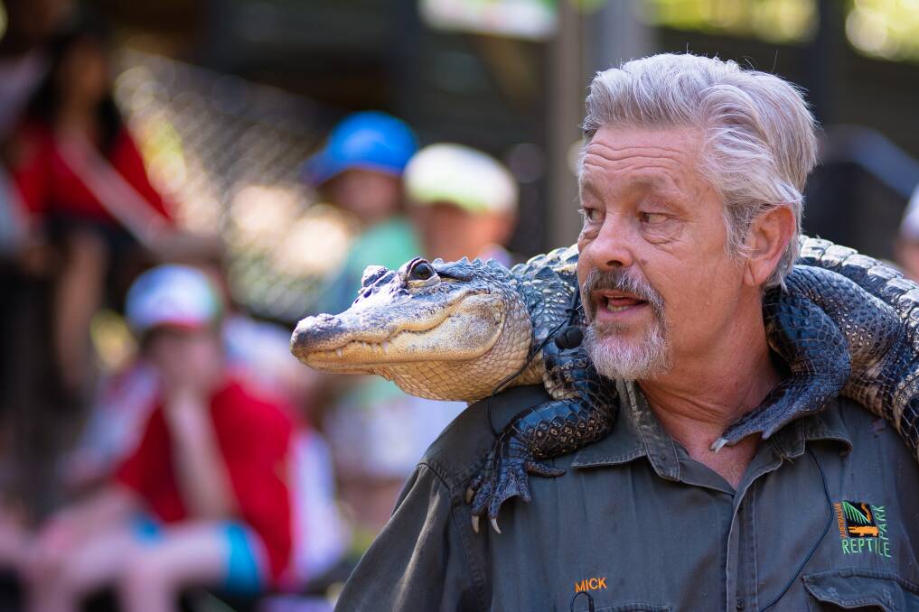 MAJOR PLAYER: Ranger Mick and friend during a show at the Australian Reptile Park, in Somersby, a popular destination for tourists. Picture: Australian Reptile Park