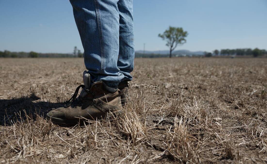 BIG DRY: Hunter farmers in towns such as Muswellbrook, Merriwa and Scone are doing it tough. Picture: Max Mason-Hubers.