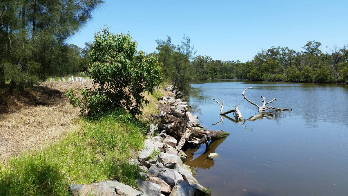PRIORITIES: The draft plan considers plans of action for flood management in the Cockle Creek catchment.