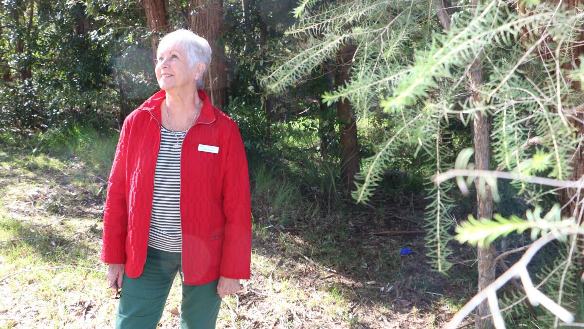 GROWING INTEREST: Lynne Turner said Lake Macquarie Garden Club has started as mainly a social club for gardeners, but it had grown into something even more rewarding. Picture: David Stewart