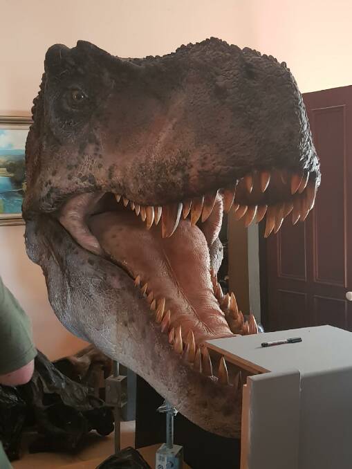 LIFE SIZE: A Tyrannosaurus Rex is one of the stars of the exhibition.