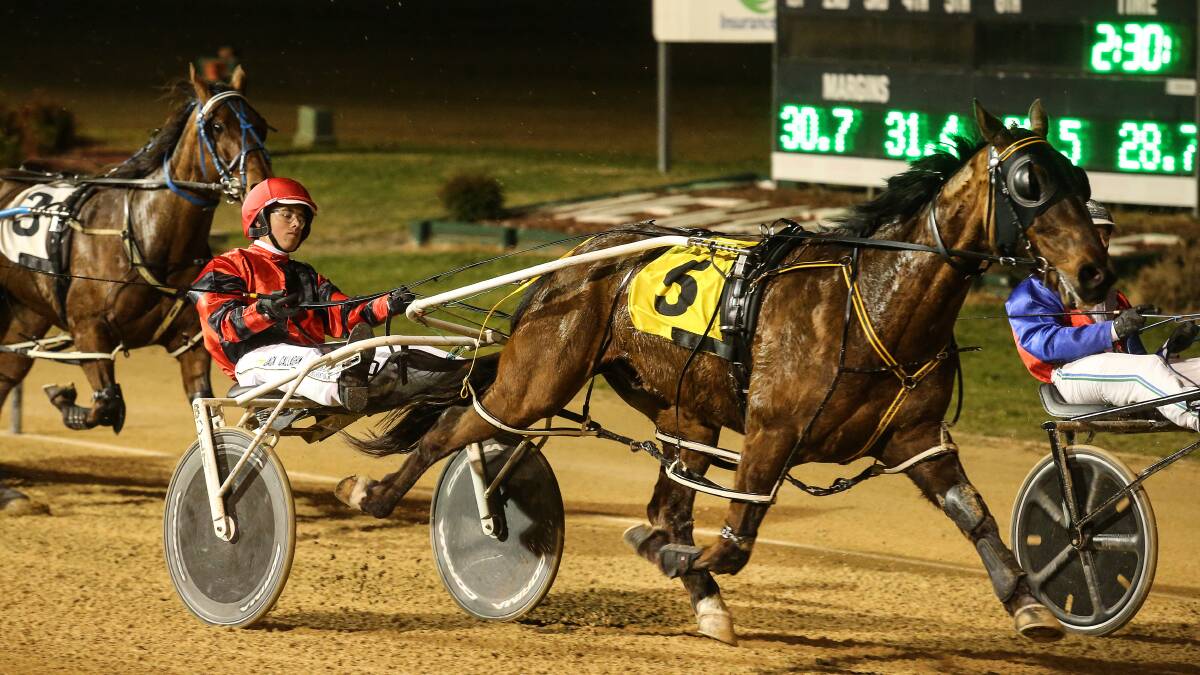QUICK LEARNER: Jack Callaghan in action at Newcastle Paceway in his first full season of driving. Picture: Marina Neil