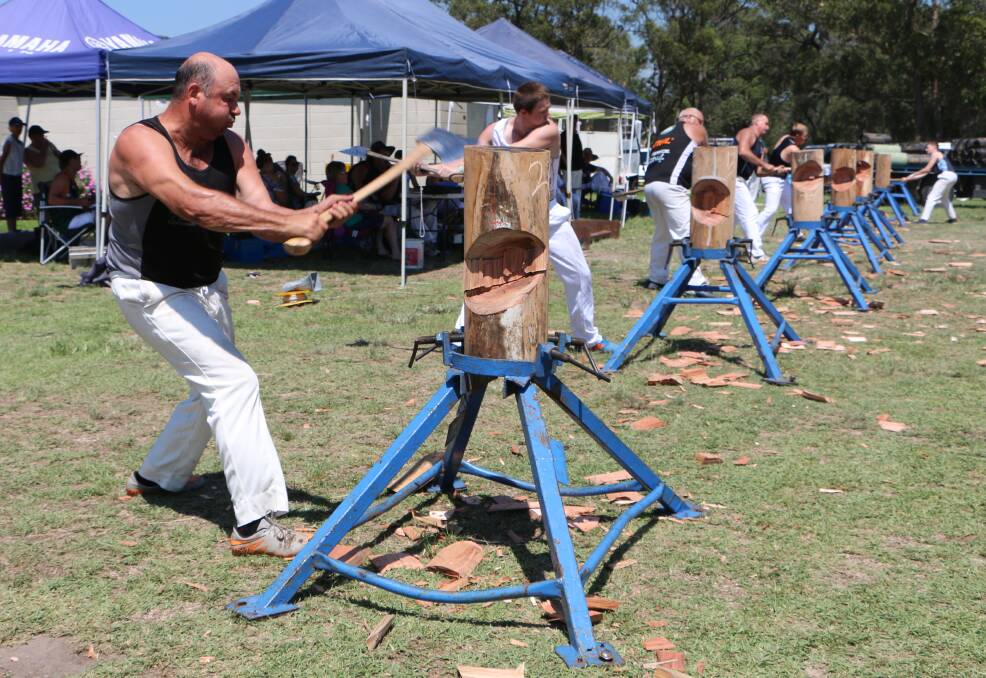 TRADITION: See the chips fly in the wood chopping competition at Morisset Show this Sunday from 11.30am in the parade arena at Morisset Showground. Picture: David Stewart
