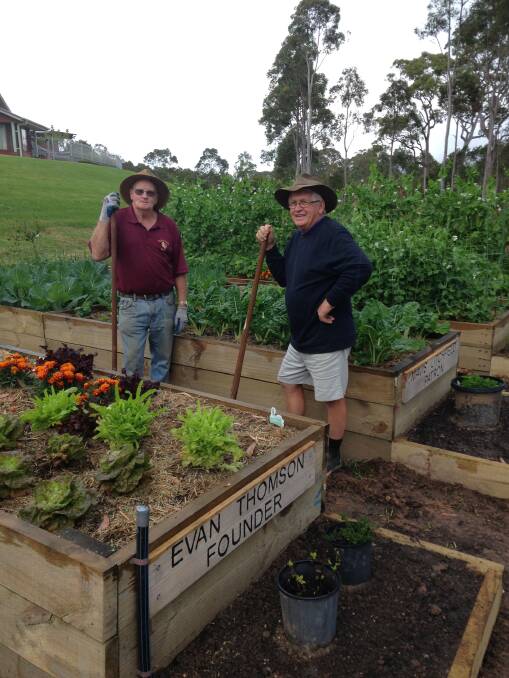 HOME GROWN: Stan Stokes, left and Michael Privett tend to the garden beds at Nareen Terrace Retirement Village where produce is shared by residents. 