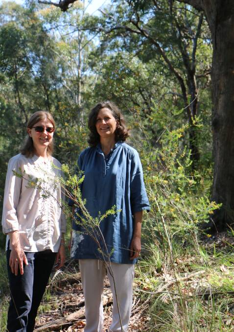 NATURE WALK: Lindy Hulton-Larson, left, and Elizabeth Addis at the start of the bush track at Coal Point Public School. Picture: David Stewart