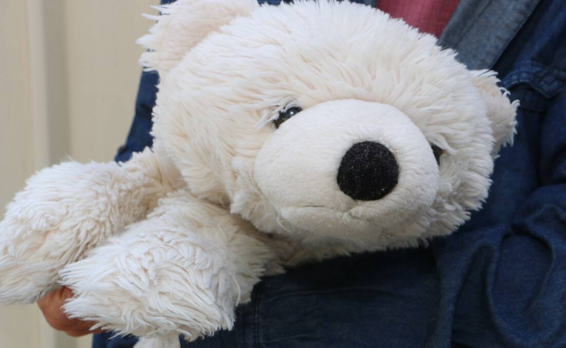 HIBERNATION: The Cooranbong teddy known as 'White Bear' has been returned to its teenage owner after six months. Australia Post recently hand delivered the precious parcel to the family. Picture: David Stewart