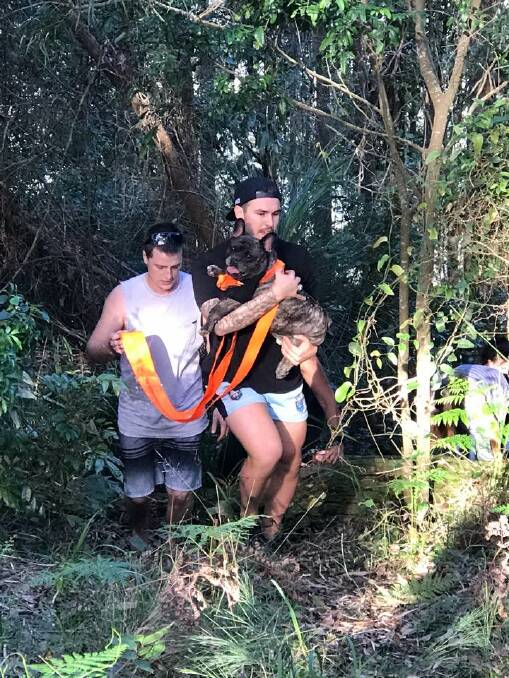 Rescuers emerge from the bush with Zeus the French bulldog. Picture: Supplied