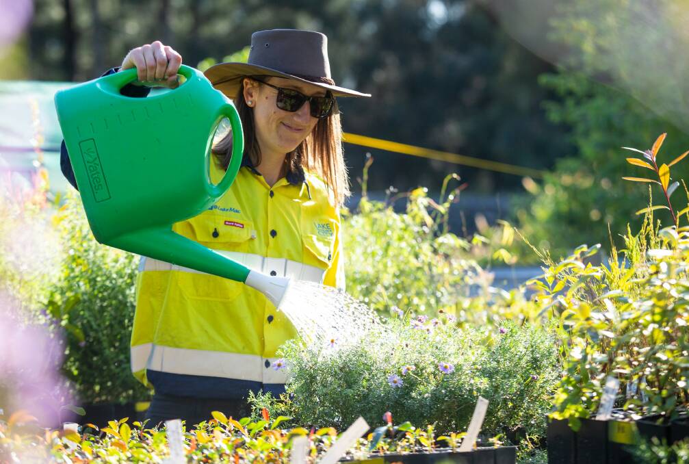 Landcare Support Officer Elise Budden tends to seedlings being grown for the Native Plant Giveaway. Picture: Lake Macquarie City Council